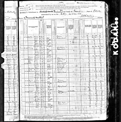 1880 Census Greenup Co. KY