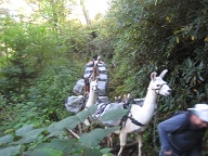 Llamas bring up fresh supplies 3 days a week.