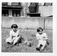 In the yard.